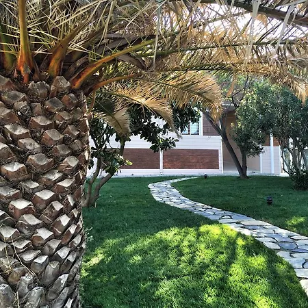 Bed & Breakfast Passawanda